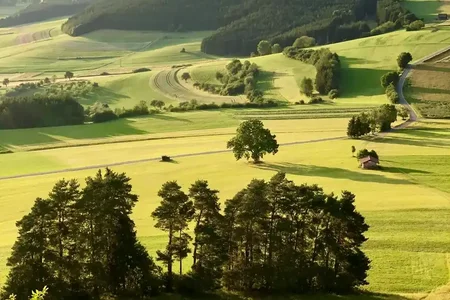 Wide view of vibrant green rolling hills, forests, fields, and winding roads under a warm, soft sky.